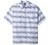 Van Heusen Men's Big and Tall Air Tropical Short Sleeve Button Down Shirt