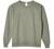 Hanes Men's EcoSmart Sweatshirt