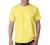 Hanes 6.1 oz. Tagless T-Shirt