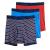 Hanes Men's Big Boxer Brief (Pack of 3)