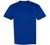 Hanes 6.1 oz. Tagless T-Shirt (5250T)