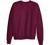 Hanes Men's EcoSmart Sweatshirt