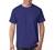 Hanes 6.1 oz. Tagless T-Shirt (5250T)