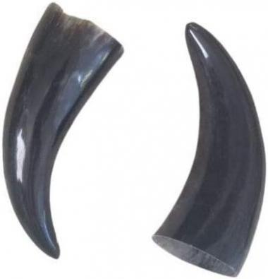 Ifa Store 2 PCS Bull Horns 7”TARROS DE BUEY 7”