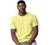 Hanes 6.1 oz. Tagless T-Shirt (5250T)