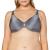 Lilyette by Bali Women's Plunge Into Comfort Keyhole Minimizer