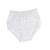 Women's Nylon Lace Trim Panties Full Cut Briefs - Pack of 3