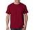 Hanes 6.1 oz. Tagless T-Shirt