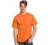 Hanes 6.1 oz. Tagless T-Shirt (5250T)