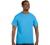 Hanes 6.1 oz. Tagless T-Shirt