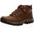 Columbia Men's Newton Ridge Plus Ii Waterproof Hiking Boot Shoe