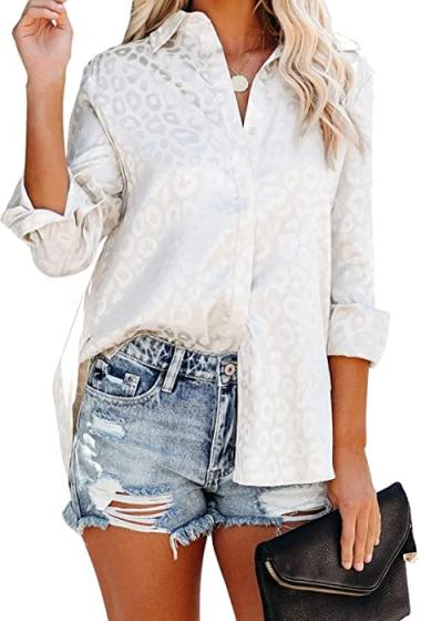 HOTAPEI Blouses for Women Casual V Neck Long Sleeve Fashion Work Long Sleeve Shirt Tops