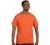 Hanes 6.1 oz. Tagless T-Shirt (5250T)