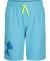 Under Armour Boys' Volley Fashion Swim Trunk