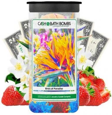 2 Pack Twin Cash Money Bath Bombs | $2-$2500 Inside | Guaranteed Rare $2 Bill | Large Mystery Surprise Gift | Birds Of Paradise |