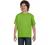 Hanes Boys 6.1 oz. Beefy-T (5380)