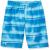 Under Armour Boys' Volley Fashion Swim Trunk