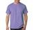 Hanes 6.1 oz. Tagless T-Shirt (5250T)