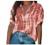 Women's Short Sleeve V-Neck Striped Collared Shirts Casual Blouses Pocket Button Down Shirts Loose Summer T-Shirt Tops