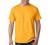 Hanes 6.1 oz. Tagless T-Shirt