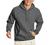 Hanes Men's Pullover EcoSmart Hooded Sweatshirt