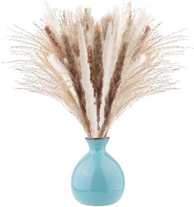 Ritattas Natural Dried Pampas Grass, 60 Pcs Pampas Grass with 20 Pcs White Pampas & 20 Pcs Brown Pampas & 20 Pcs Fluffy Reed Grass for Flower Arrangement Home Decor Wedding Boho Decor