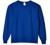 Hanes Men's EcoSmart Sweatshirt