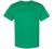 Hanes 6.1 oz. Tagless T-Shirt (5250T)