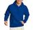 Hanes Men's Pullover EcoSmart Hooded Sweatshirt