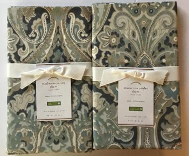 Pottery Barn Mackenna Paisley Euro Shams ~Set of Two~ Blue