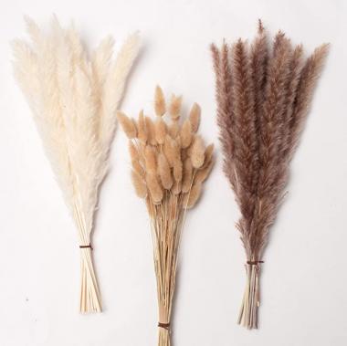 PNT CONCEPT Total 90 Pcs, 17" Set | 30 Pcs White Pampas and Natural Dried Pampas Grass,60 Pcs Natural Rabbit Tail Grass, Perfect for Home Decor, Boho Decor and Wedding Flower Arrangements