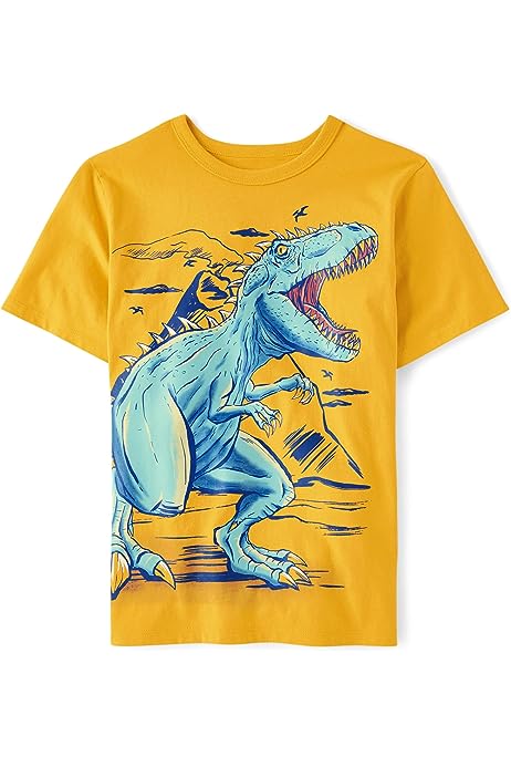 Boys' Short Sleeve Dinosaur Graphic T-Shirt