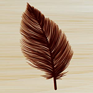 feather wood burn effect pyrography station wood burning pencil