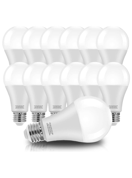 A21 LED Bulb