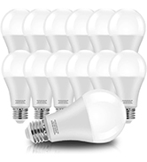 A21 LED Bulb