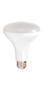 BR30 Bulb