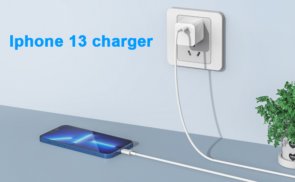 iphone  12 pro max charger