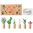 6 Pieces Mini Artificial Succulent Plants Fridge Magnet, Handmade Faux Succulent Wine Cork Magnet for Fridge, Shelf, Kitchen Counter, Office Cubicle Decor, Locker Decorations