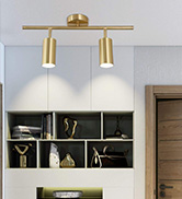 Track Lighting Fixture