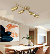 Track Lighting Fixture