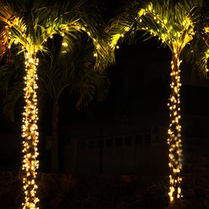 Solar Fairy Lights