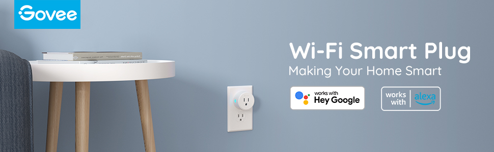 smart plug