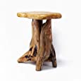 WELLAND Cedar Root Wood Log Side Table, End Table, Rustic Primitive Natural Live Edge