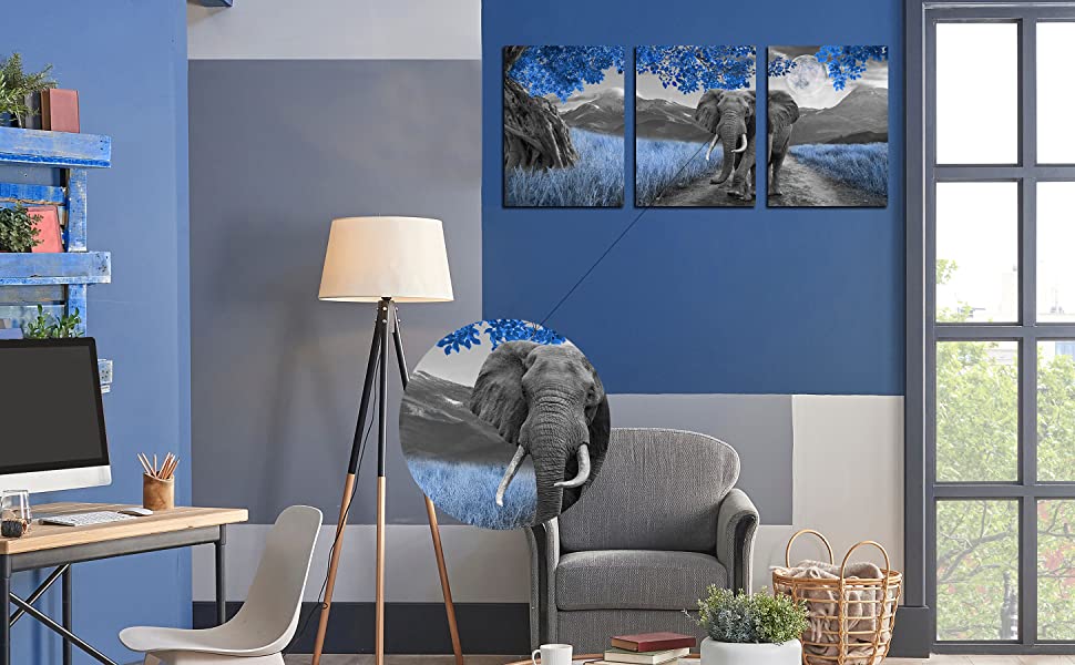 3 Piece Canvas Wall Art