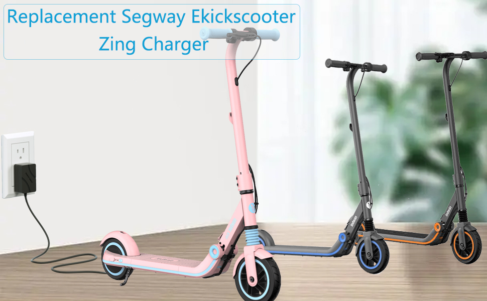  Segway eKickScooter Zing E8 charger