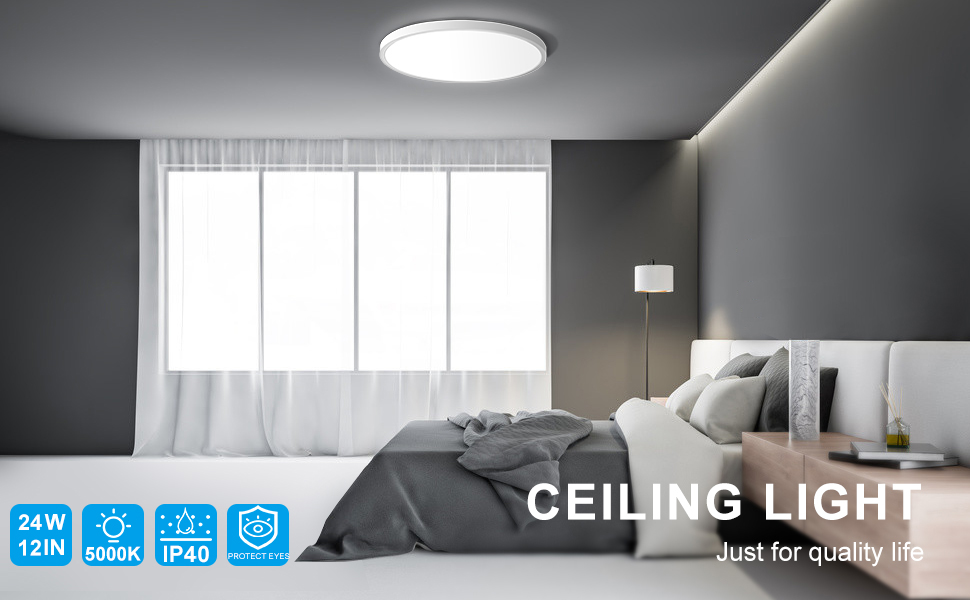 ceiling light 