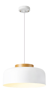 pendant  Light