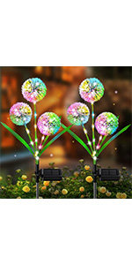 Solar Outdoor Lights