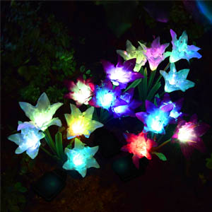 solar light outdoor