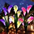 Aloudy Solar Garden Stake Lights, Upgraded 3 Pack Outdoor Waterproof Solar Powered Lights with 12 Calla Lily Flowers, 7 Color